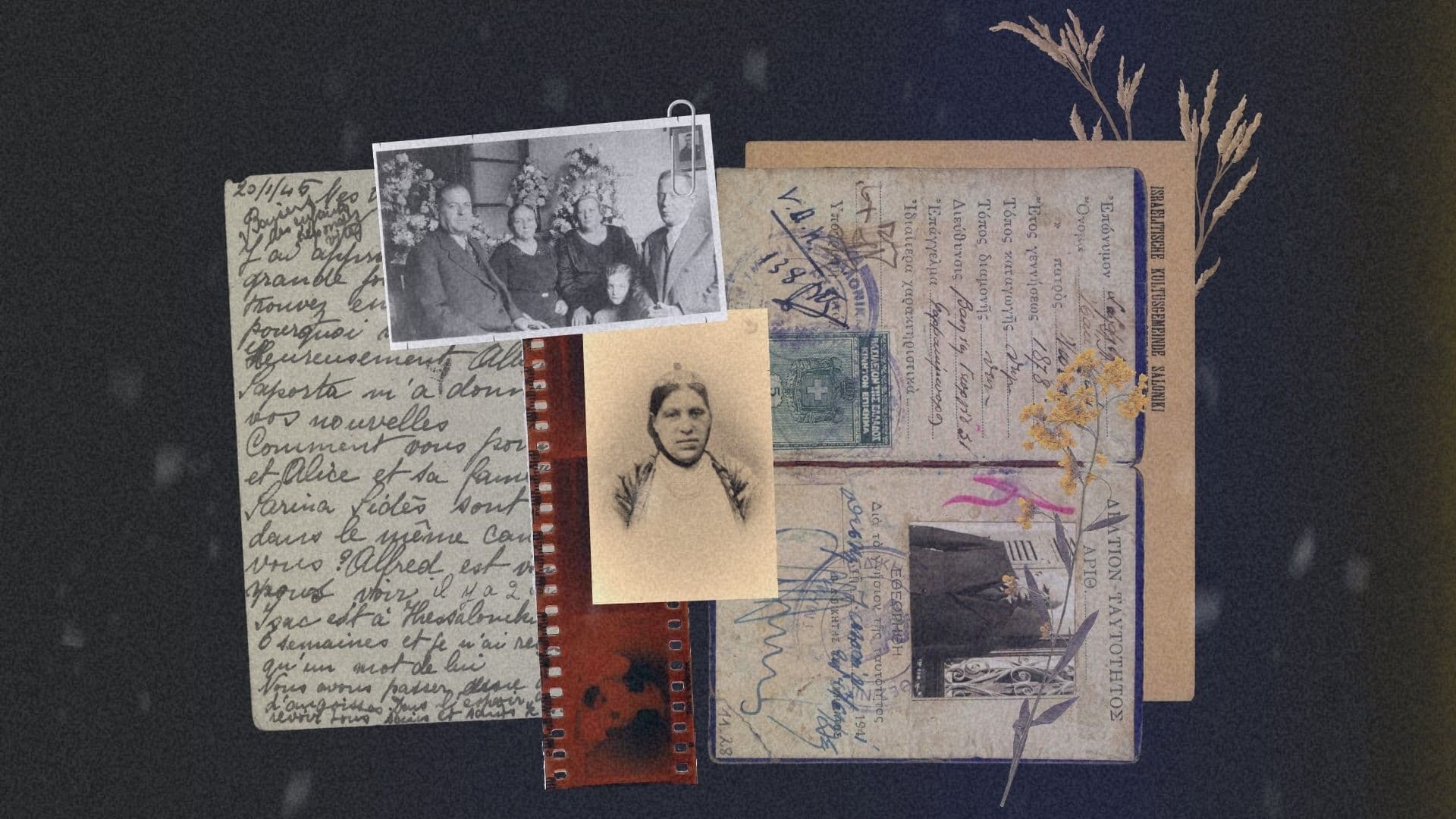 Ονοματολογία